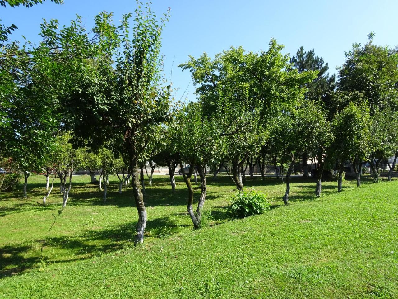 Apartment Una Laguna Bihać Eksteriør billede